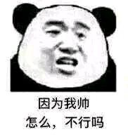 不在乎微信恶搞熊猫头斗图表情包
