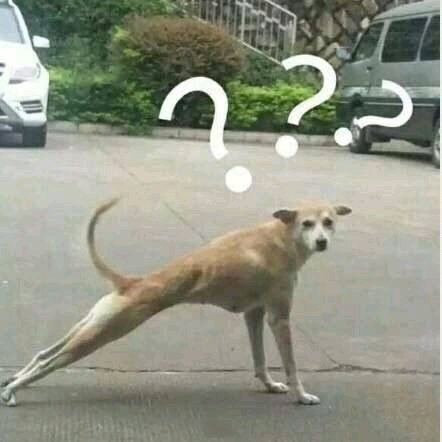 微信搞怪群聊斗图表情包