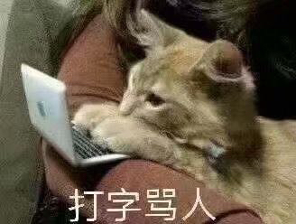 微信近期斗图恶搞表情包2019/5/16（二）