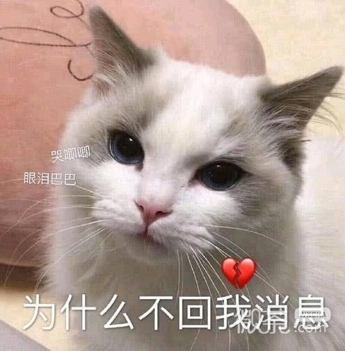 微信近期斗图恶搞表情包2019/5/16