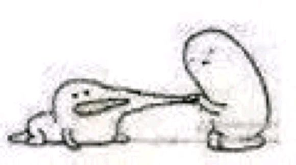 微信近期斗图恶搞表情包2019/5/16（二）