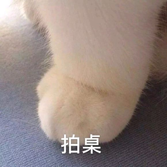 微信近期斗图恶搞表情包2019/5/16（二）