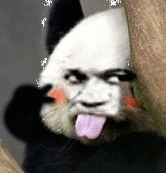 逗比微信群聊斗图表情包