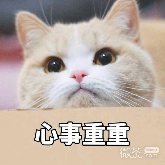 微信近期斗图恶搞表情包2019/5/16