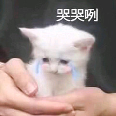 逗比微信群聊斗图表情包