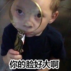 微信群聊欢乐可爱斗图表情包