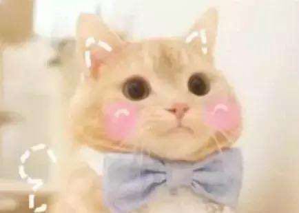 微信近期斗图恶搞表情包2019/5/16（二）