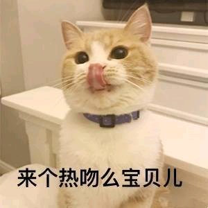 微信近期斗图恶搞表情包2019/5/16