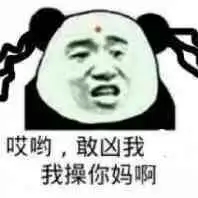微信搞怪逗比傻屌斗图熊猫头表情包