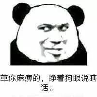 不可以微信恶搞傻屌熊猫头斗图表情包