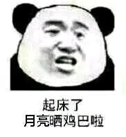 微信逗比群聊熊猫头斗图表情包