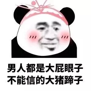 不可以微信恶搞傻屌熊猫头斗图表情包
