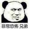 微信打扰了恶搞傻屌熊猫头斗图表情包