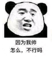 微信熊猫头怼人聊天表情包