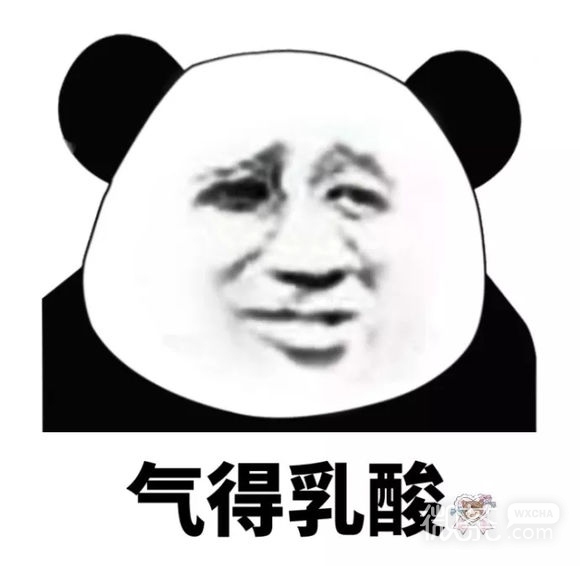 微信打扰了恶搞傻屌熊猫头斗图表情包