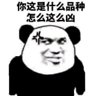 微信搞怪逗比傻屌斗图熊猫头表情包