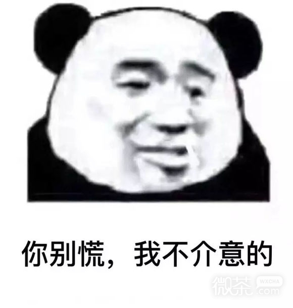 微信打扰了恶搞傻屌熊猫头斗图表情包
