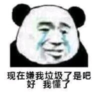 微信熊猫头怼人聊天表情包