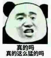 不行，我拒绝微信恶搞熊猫头斗图表情包