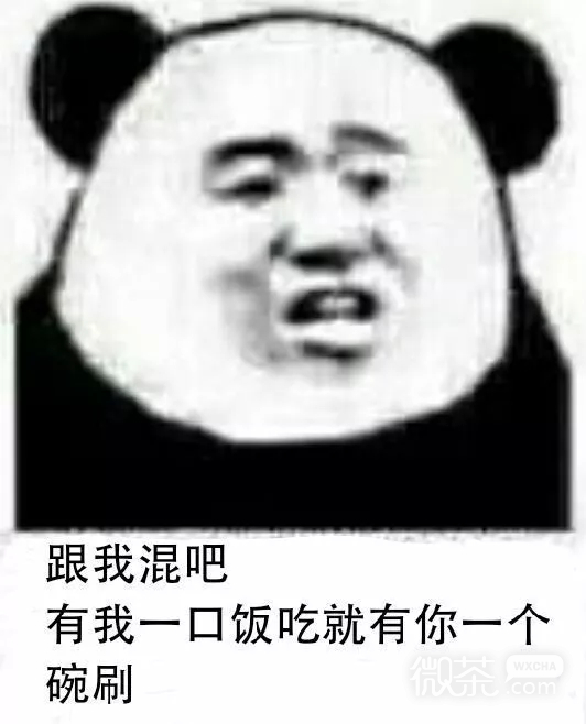 微信打扰了恶搞傻屌熊猫头斗图表情包