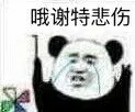 不可以微信恶搞傻屌熊猫头斗图表情包