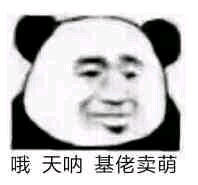 哦好微信恶搞熊猫头斗图表情包