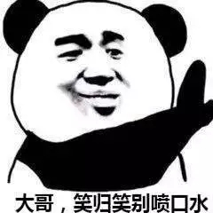 微信搞怪逗比傻屌斗图熊猫头表情包