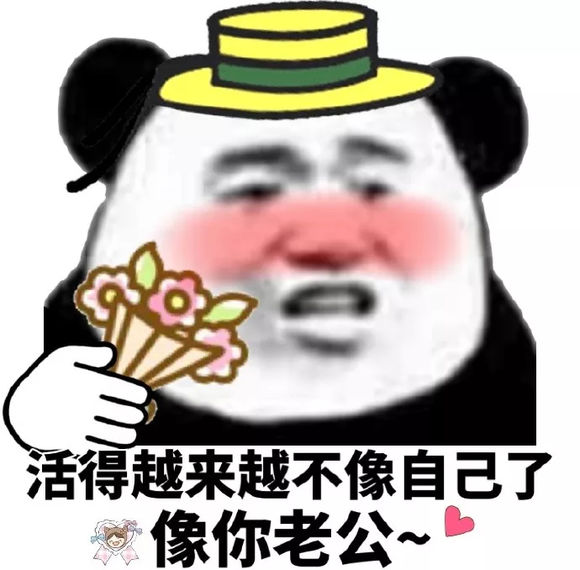 微信打扰了恶搞傻屌熊猫头斗图表情包