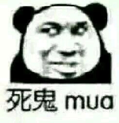 不行，我拒绝微信恶搞熊猫头斗图表情包