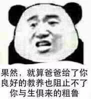 哦好微信恶搞熊猫头斗图表情包