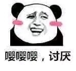 给我滚微信恶搞熊猫头斗图表情包