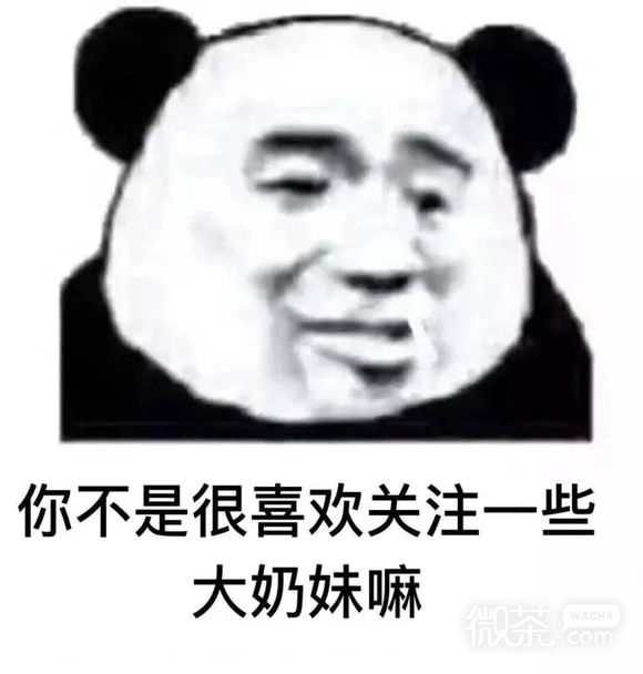 微信打扰了恶搞傻屌熊猫头斗图表情包