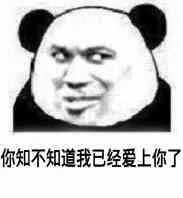 不可以微信恶搞傻屌熊猫头斗图表情包
