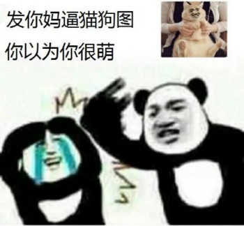 微信熊猫头杂图群聊斗图表情包