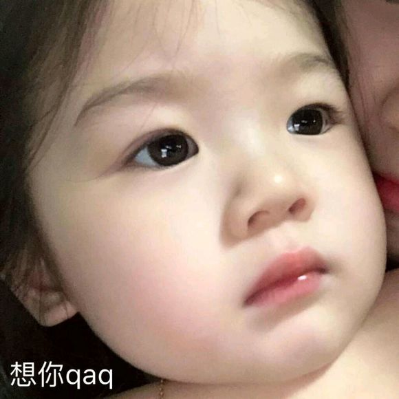 微信近期斗图恶搞表情包2019/5/18（二）