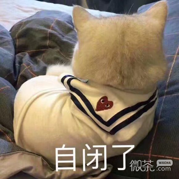 自闭了微信恶搞傻屌斗图表情包