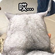 微信近期斗图恶搞表情包2019/5/18