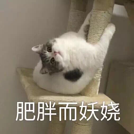 自闭了微信恶搞傻屌斗图表情包