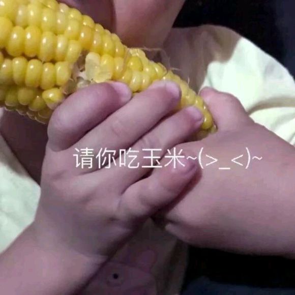 微信近期斗图恶搞表情包2019/5/18（二）