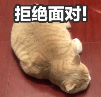 自闭了微信恶搞傻屌斗图表情包