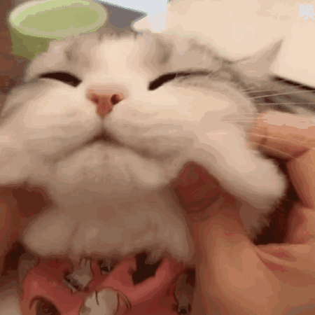 自闭了微信恶搞傻屌斗图表情包