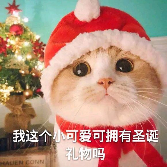 微信近期斗图恶搞表情包2019/5/18（二）