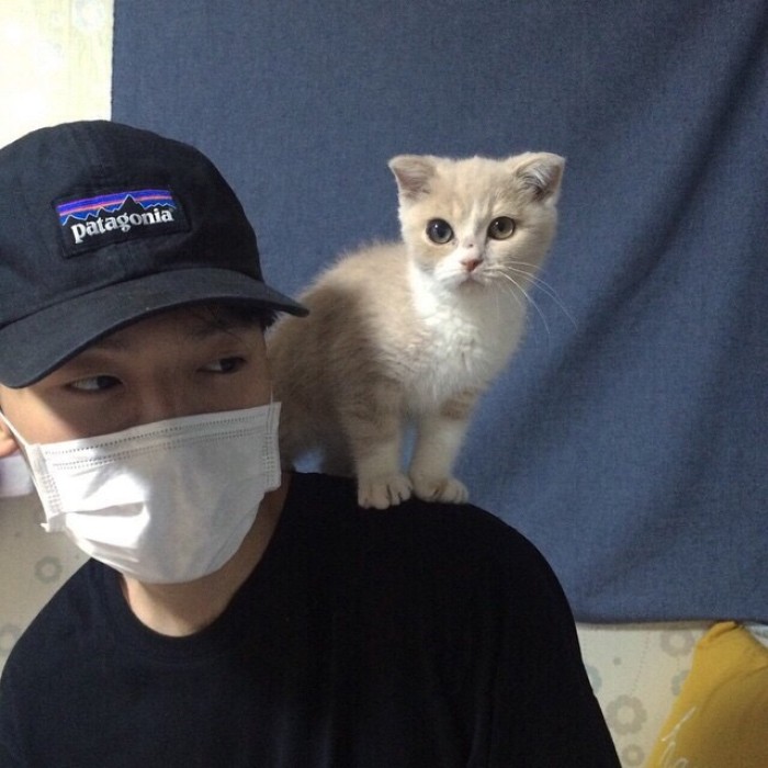 微信成熟时尚阳光男头