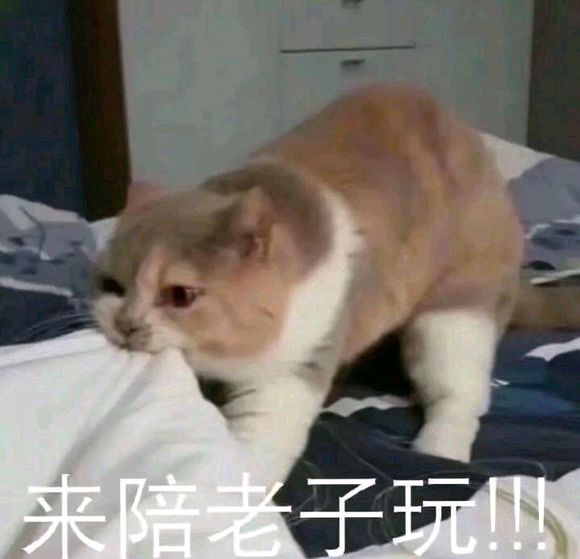 微信近期斗图恶搞表情包2019/5/18