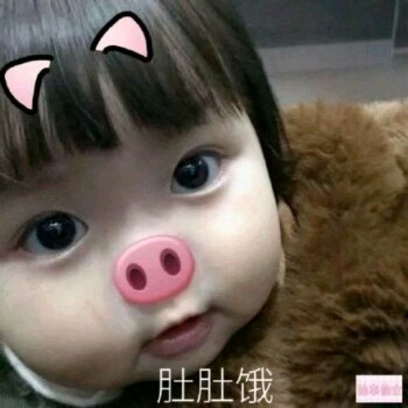 微信近期斗图恶搞表情包2019/5/18（二）