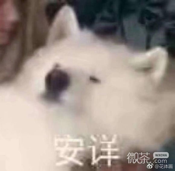 安详微信恶搞傻屌斗图表情包