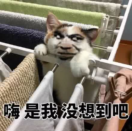 微信搞怪群聊聊天杂图斗图表情包