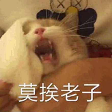 微信搞怪群聊聊天斗图表情包