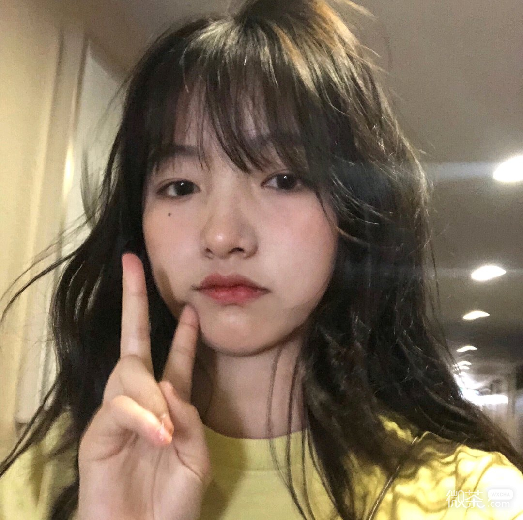 微信清新简洁文艺气质女头