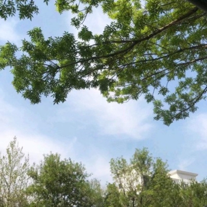 唯美风格意境的微信小清新头像合集下载